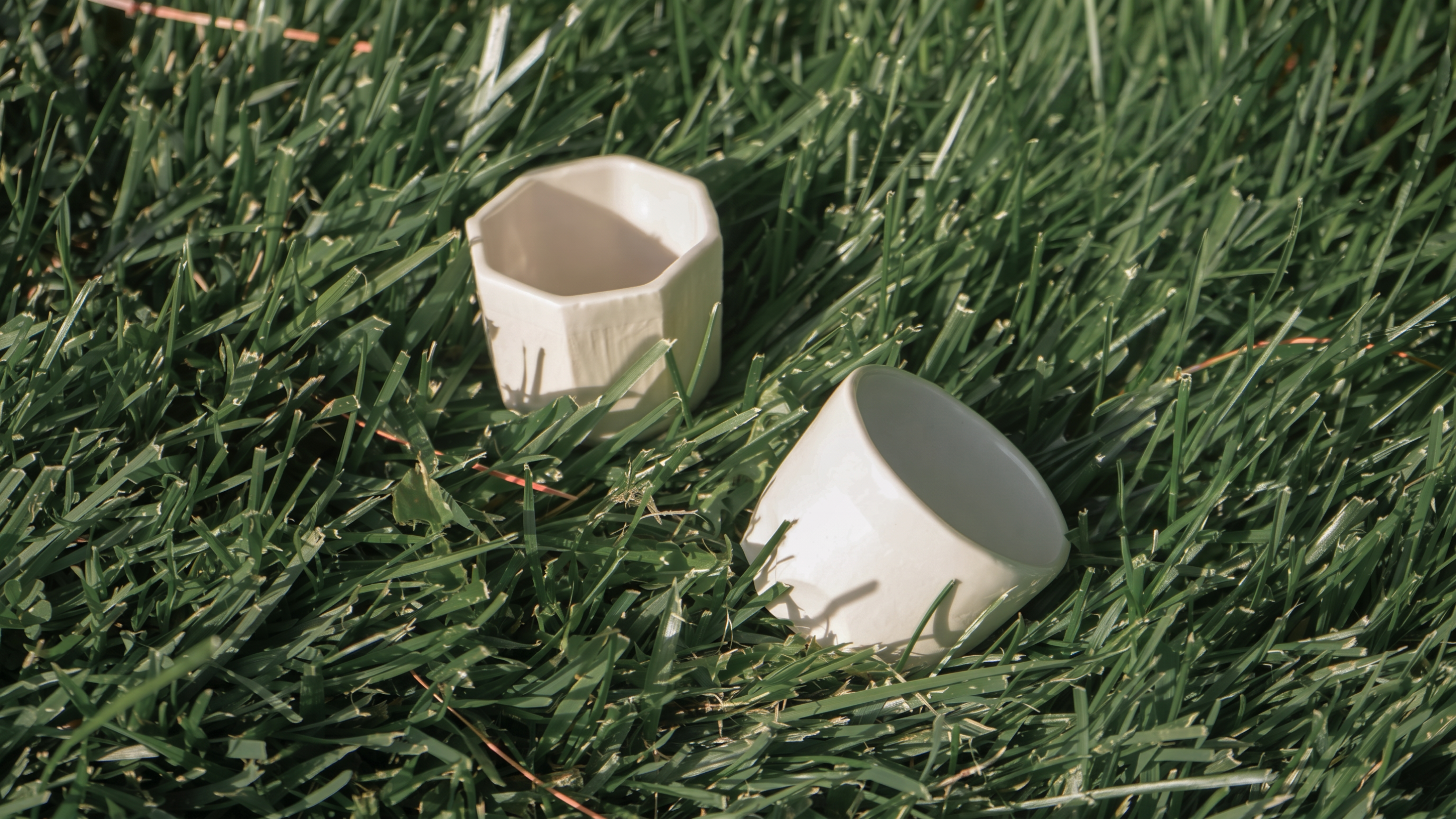 White tea cups in bright green grass